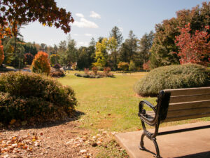 North Asheville Home