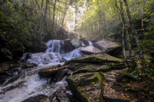 Connestee Falls Trail 3