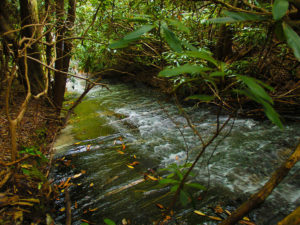 LobdellWoods 0000 lobdell waterfall 1024x682