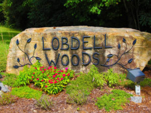 LobdellWoods 0001 for web lobdell woods 1024x692